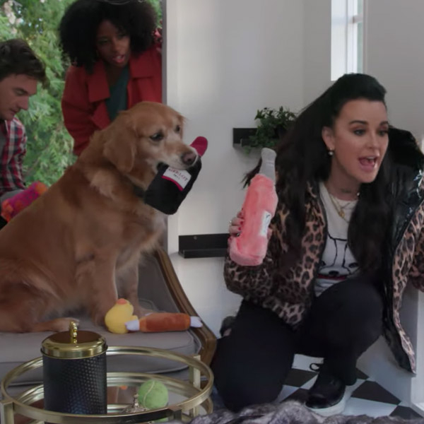 Watch Tyler Cameron Build Kyle Richards an Extravagant Dog House