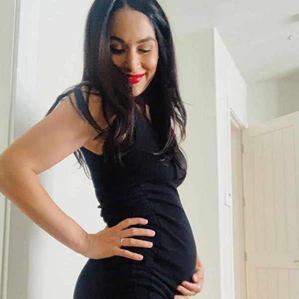 Photos From Brie Bella S Pregnancy Pics
