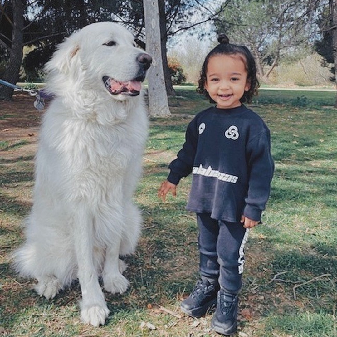 Chicago West