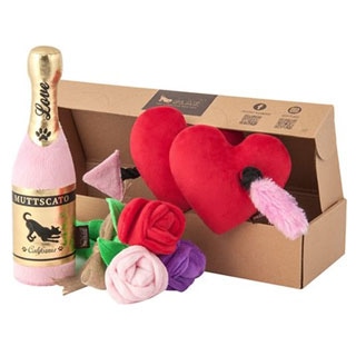 Gifts for Your Furry Valentine