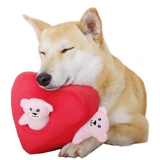 Gifts for Your Furry Valentine