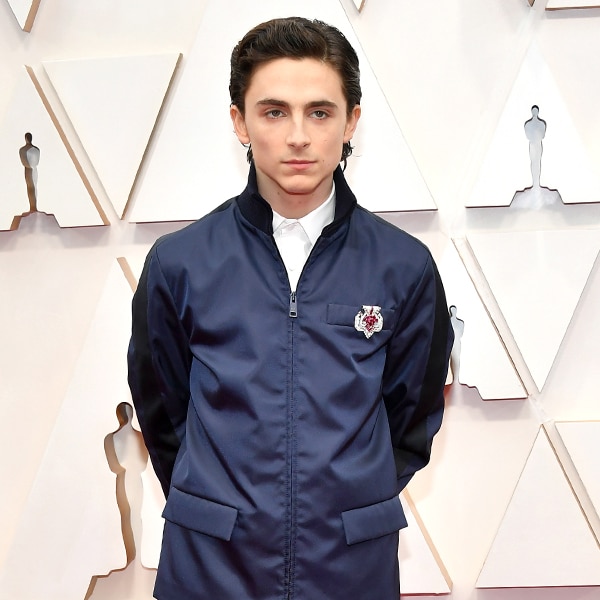 timothee chalamet french dispatch interview