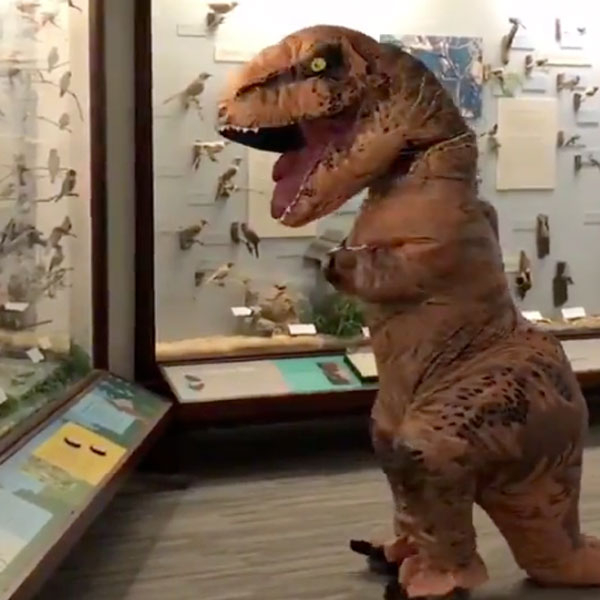 Chicago Museum Lets "Dinosaur" Out to Explore Exhibits