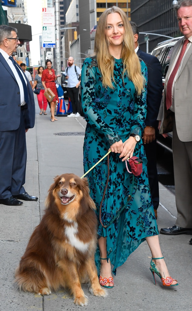 Amanda Seyfried from Stars With Their Dogs to Celebrate National Puppy ...