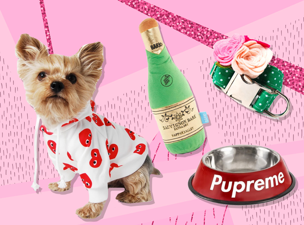 E-Comm: Just 21 Cute Things to Celebrate National Puppy Day