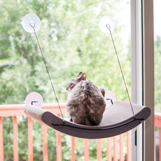 Things to Keep Your Cat Occupied While You Work From Home