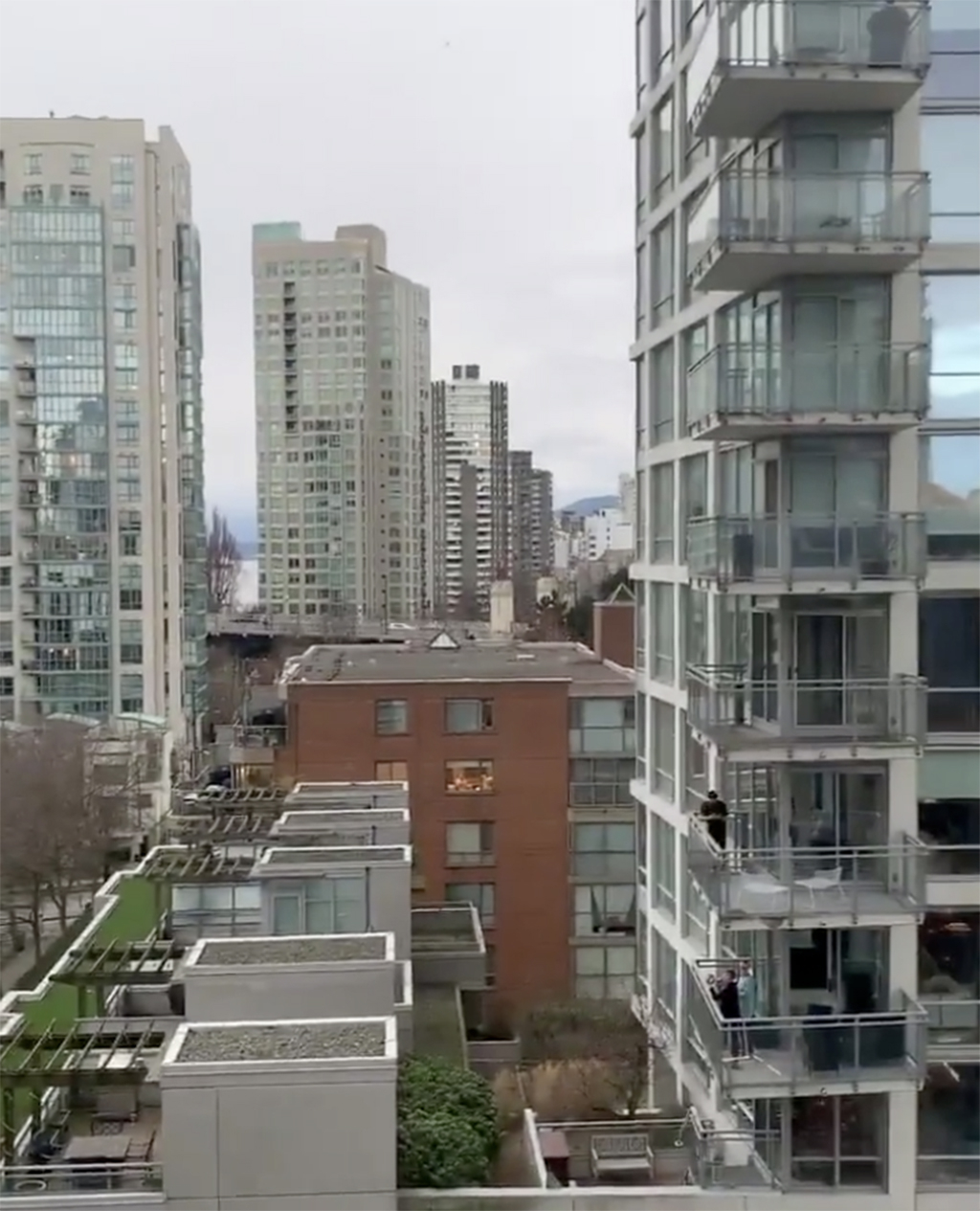 Feel Good Friday stories