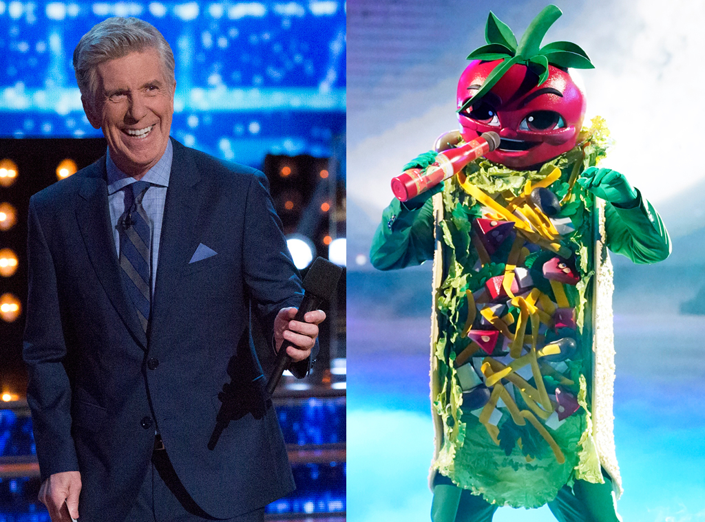 The Taco: Tom Bergeron from The Masked Singer Season 3 Cast Revealed ...