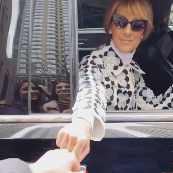 Celine Dion, Viral Fan Serenade