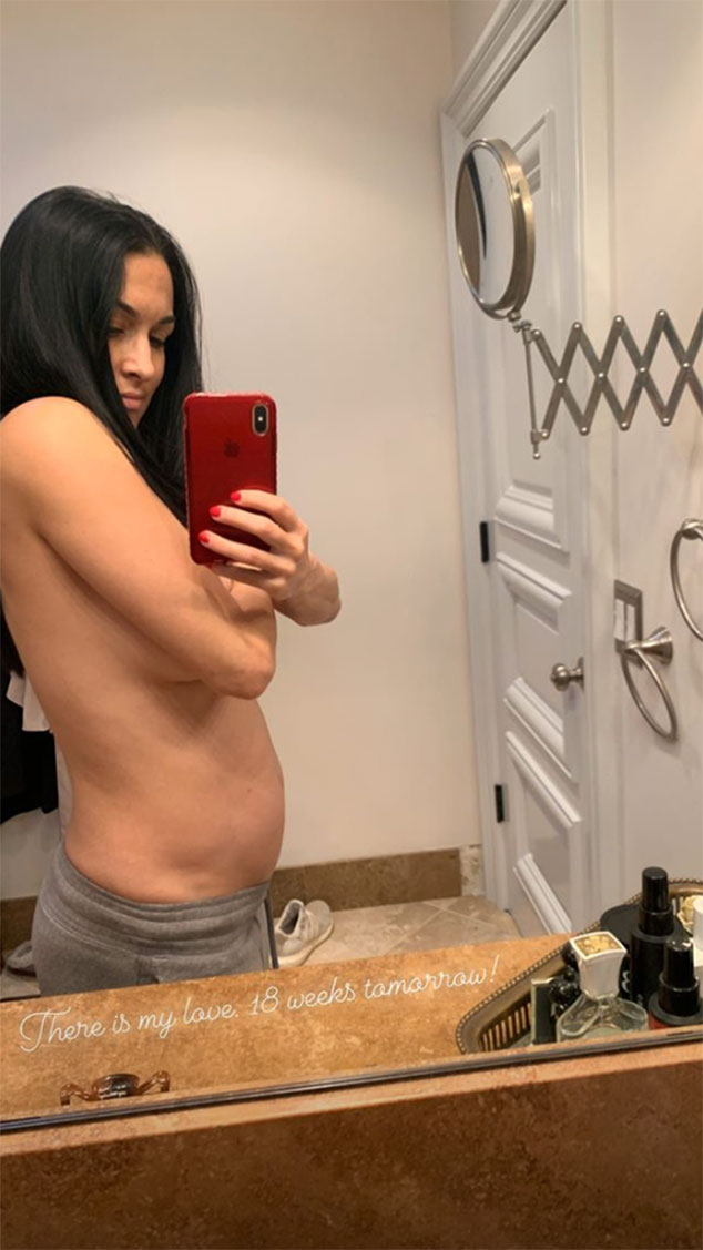 Nikki & Brie Bella Reveal Their 'Biggest' Pregnancy Craving: Photo 4442795, Brie Bella, Nikki Bella, Pregnant Celebrities Photos
