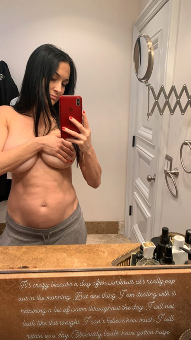Nikke Bella Xxx Porn Tv - Topless Nikki Bella Reveals Her Pregnancy \