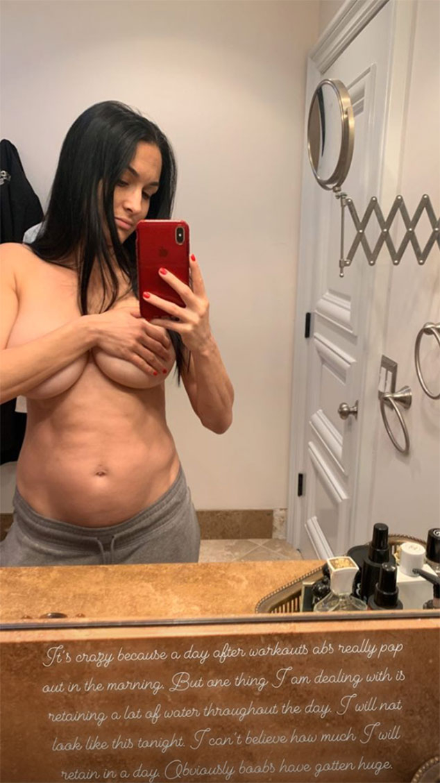 Nikki & Brie Bella Reveal Their 'Biggest' Pregnancy Craving: Photo 4442796, Brie Bella, Nikki Bella, Pregnant Celebrities Photos