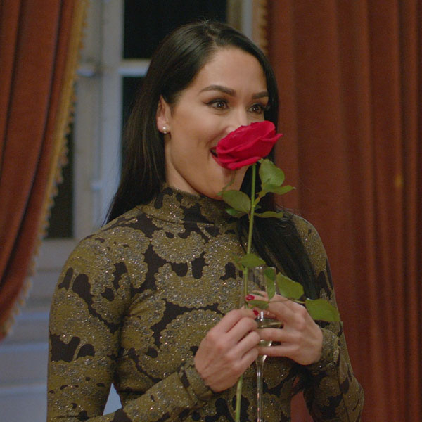 Nikki Bella, Total Bellas