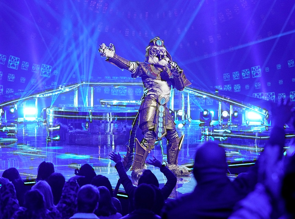 The Masked Singer, White Tiger