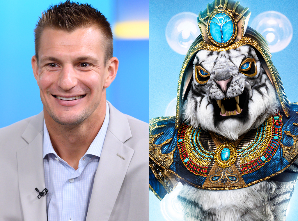 The White Tiger: Rob Gronkowski from The Masked Singer ...