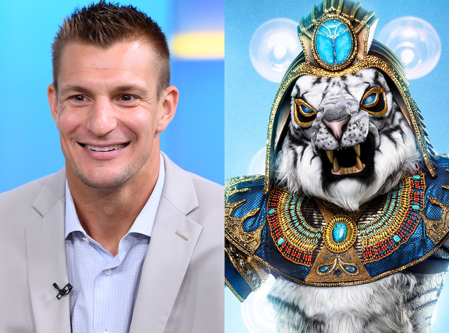 Rob Gronkowski and The White Tiger, The Masked Singer