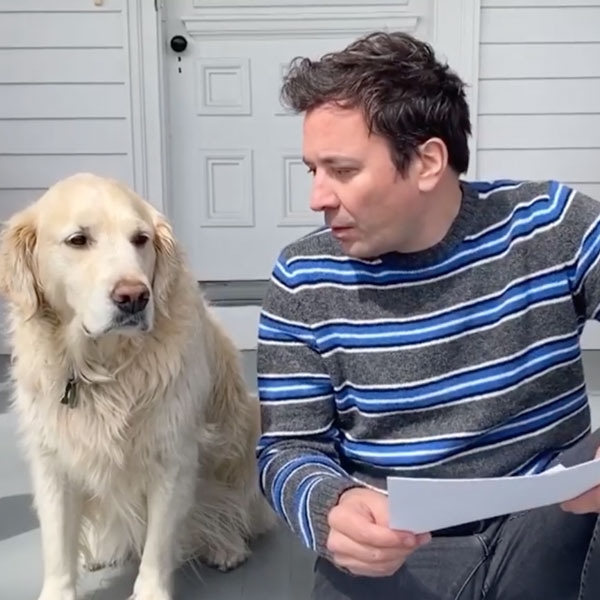 Jimmy Fallon, Gary Dog Interview, IG