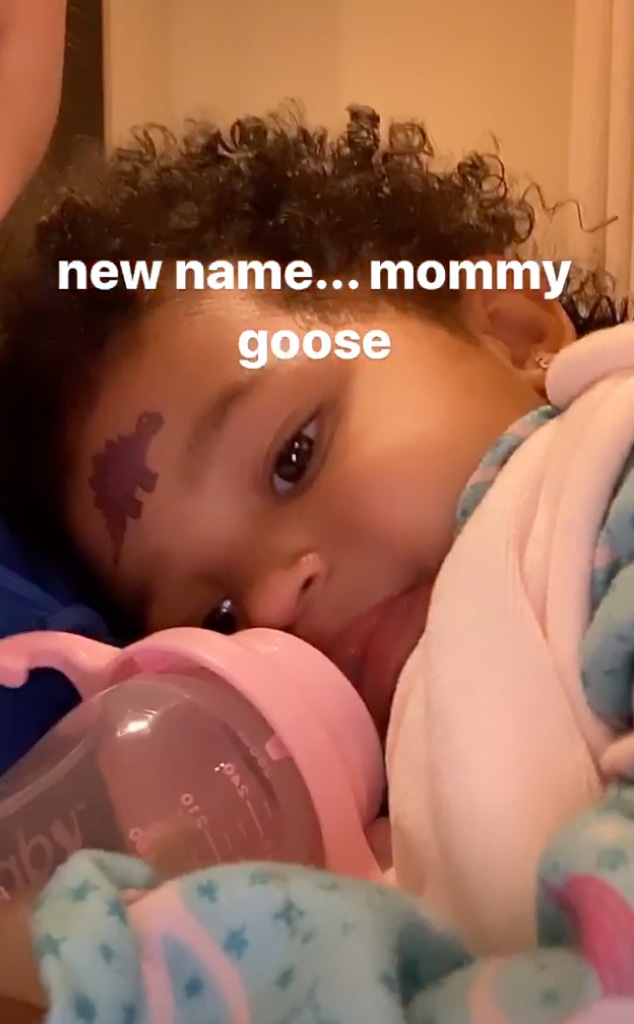 Stormi Webster