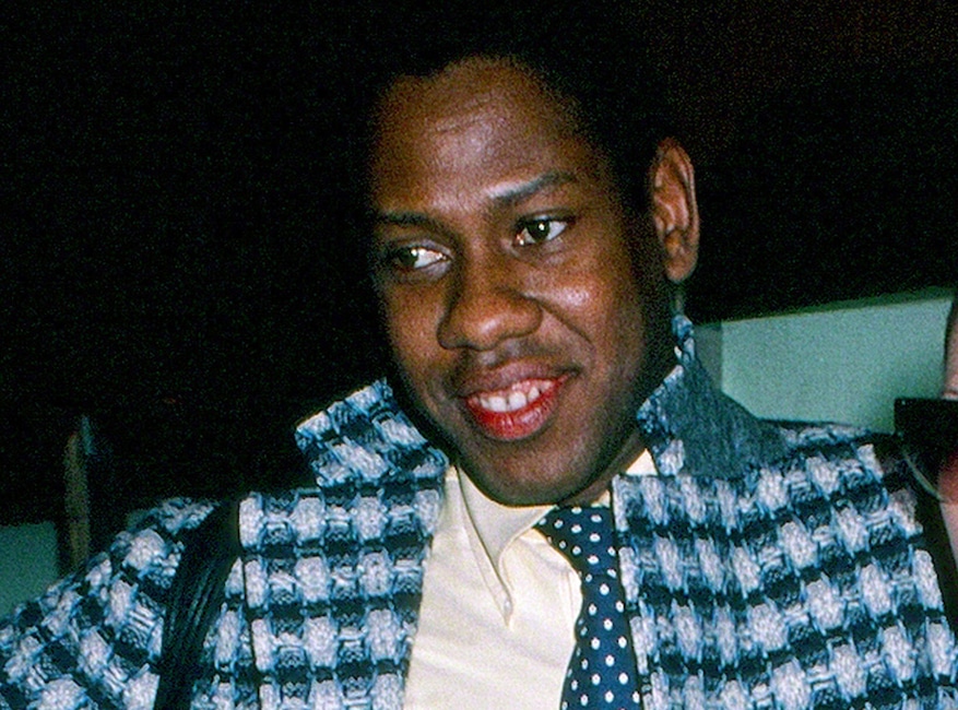 Andre young - Andre Leon Talley book