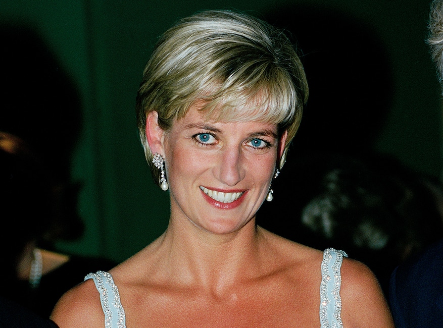 Princess Diana - Andre Leon Talley book