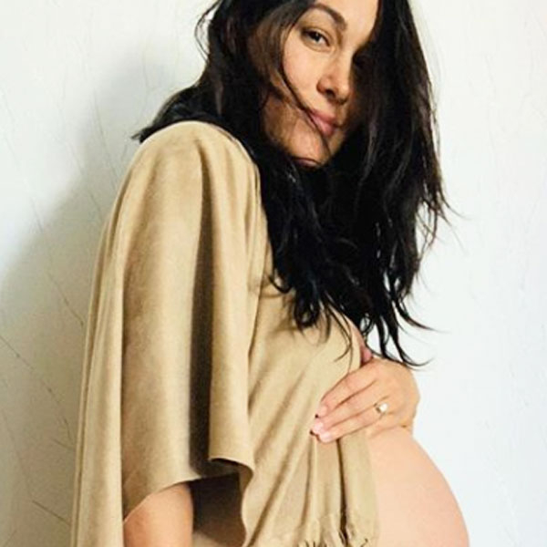 Brie Wwe Porn - Pregnant Brie Bella Celebrates 30 Weeks With Nearly Nude Baby Bump Pic - E!  Online
