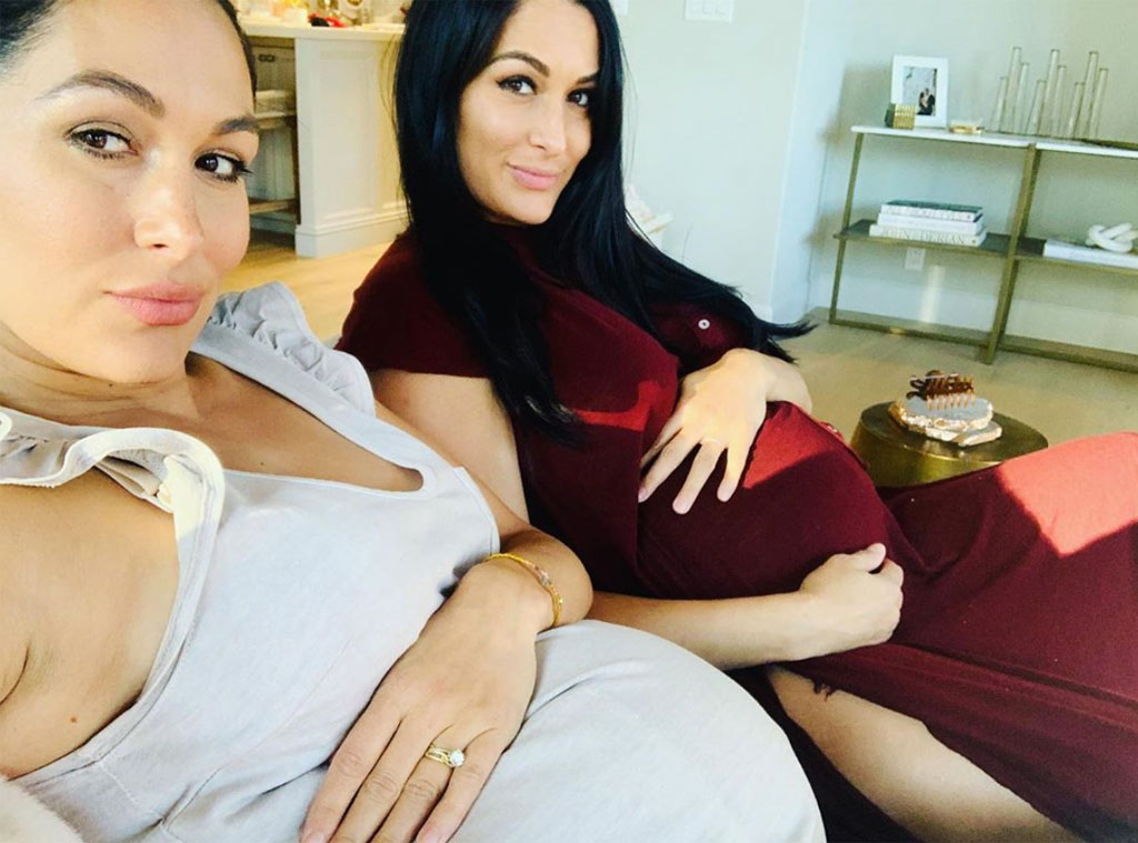 Wwe Bella Twins Pussy - Brie and Nikki Bella Reveal Who's Having More Pregnancy Sex - E! Online