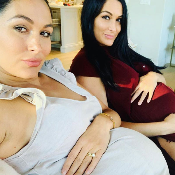 Brie And Nikki Bella Go Completely Nude For Joint Maternity Shoot E Online