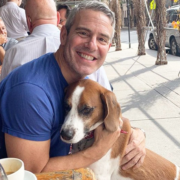 Andy Cohen Gives an Update on Dog Wacha Following Rehoming