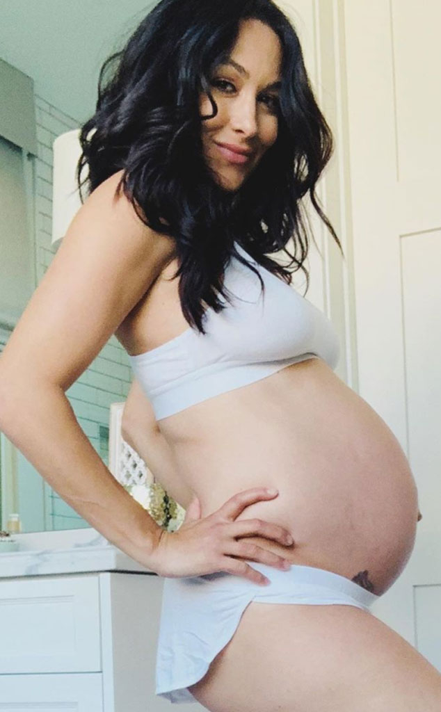 Brie Bella Shares Empowering Pic Of Her Body 9 Months Post-Baby