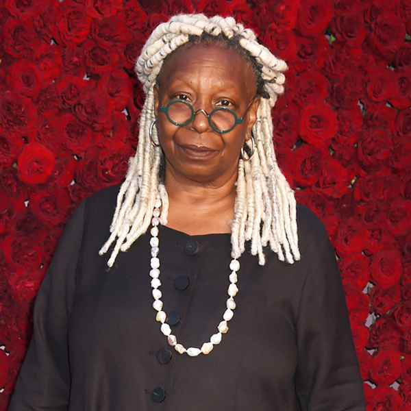 Whoopi Goldberg Reflects On Losing Everything After Political Remark E Online