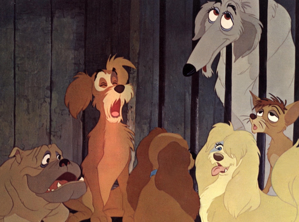 Lady and the tramp sales all dogs