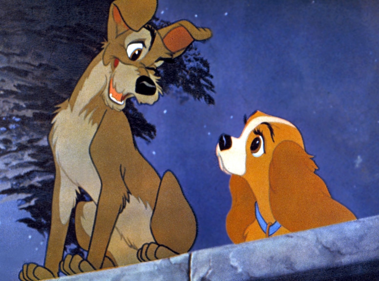 Lady and The Tramp, Movie