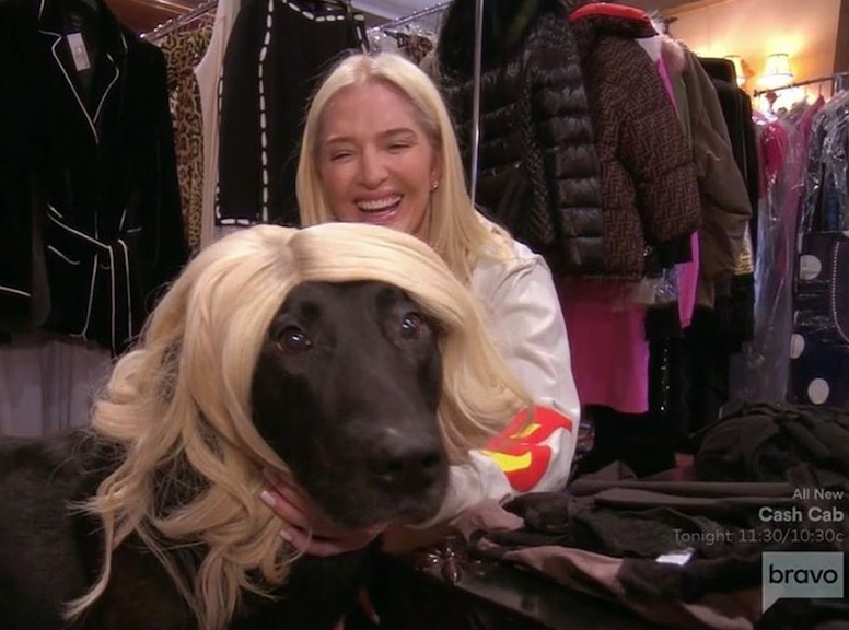 Real Housewives Pets, Erika Jayne, Tiago