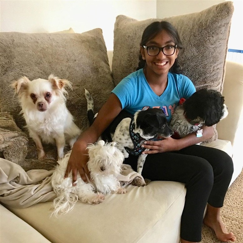 Acts of Kindness, Instagram