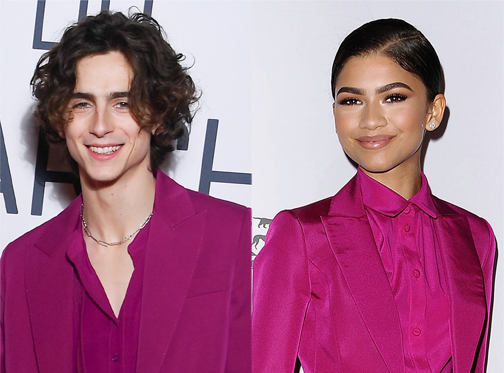 See Timothée Chalamet's Birthday Tribute To "Inspiring" Friend Zendaya ...