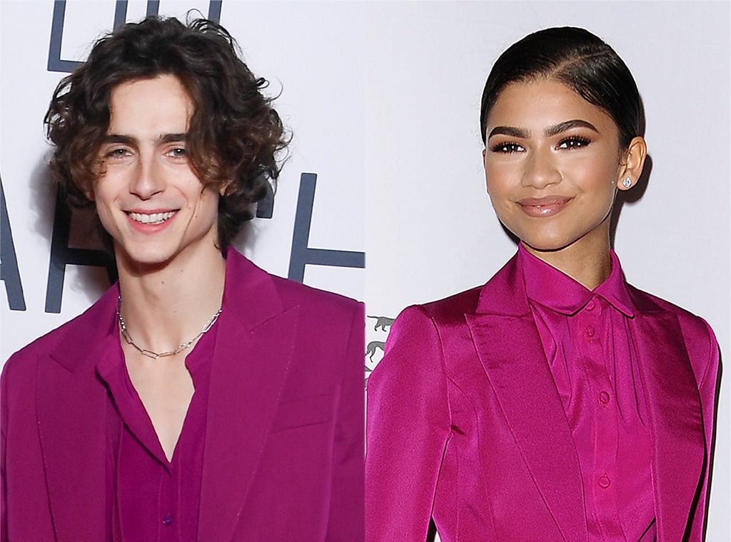 Timothee Chalamet, Zendaya