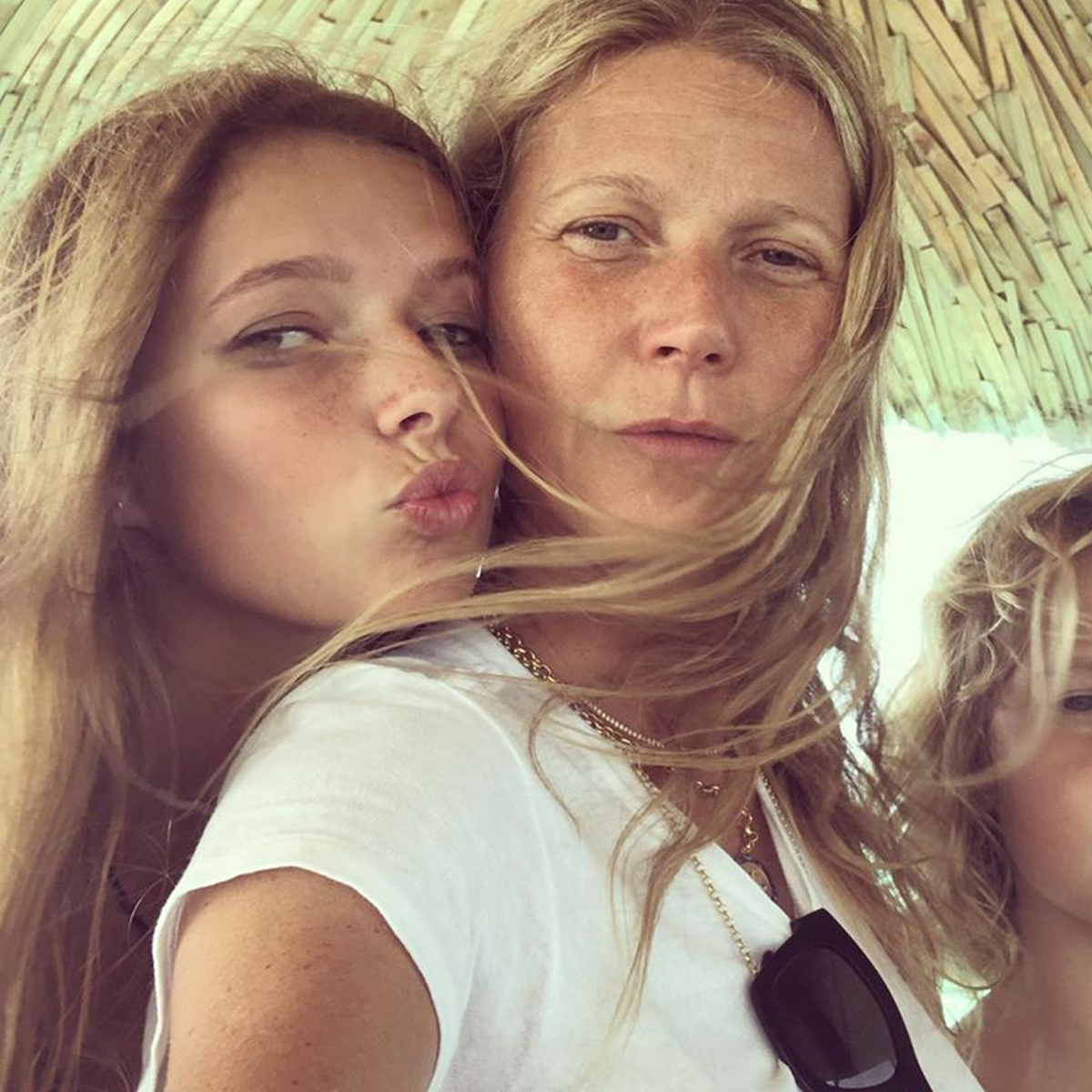 Gwyneth Paltrow Gets Trolled By Daughter Over Goop's NSFW Products - E! Online