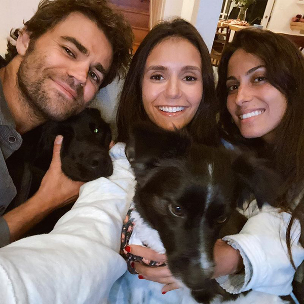 Paul Wesley News, Pictures, and Videos - E! Online