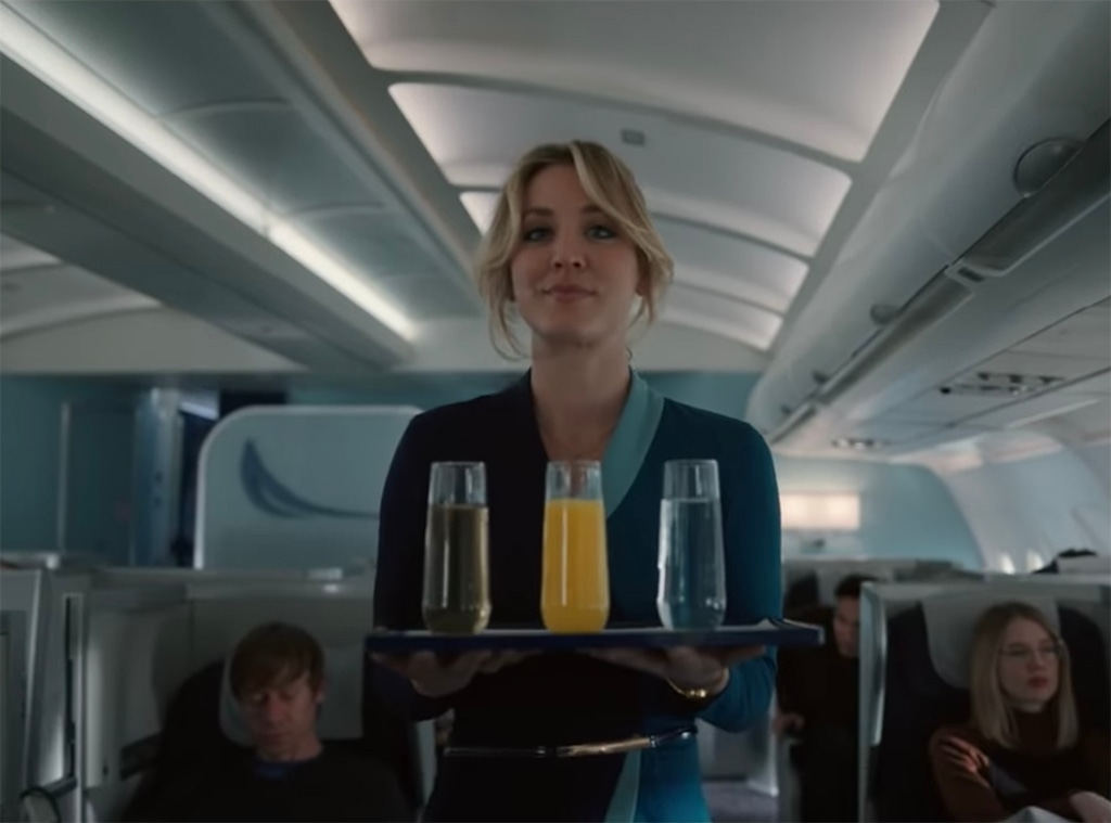 The Flight Attendant