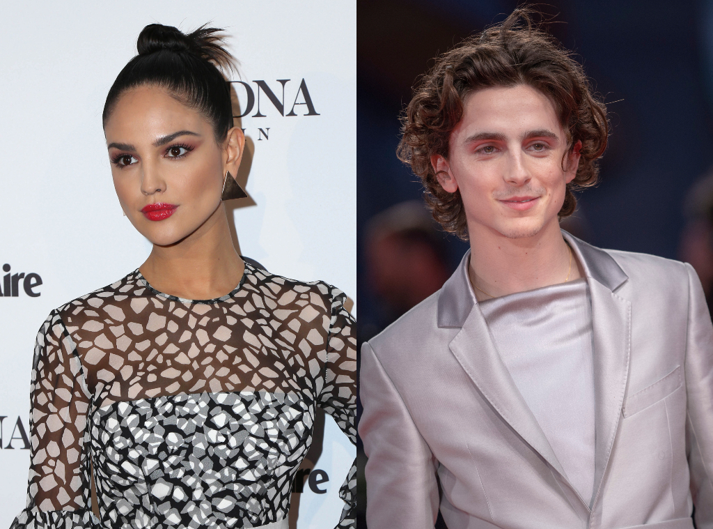 Así está actualmente el romance de Eiza González y Timothée Chalamet ...