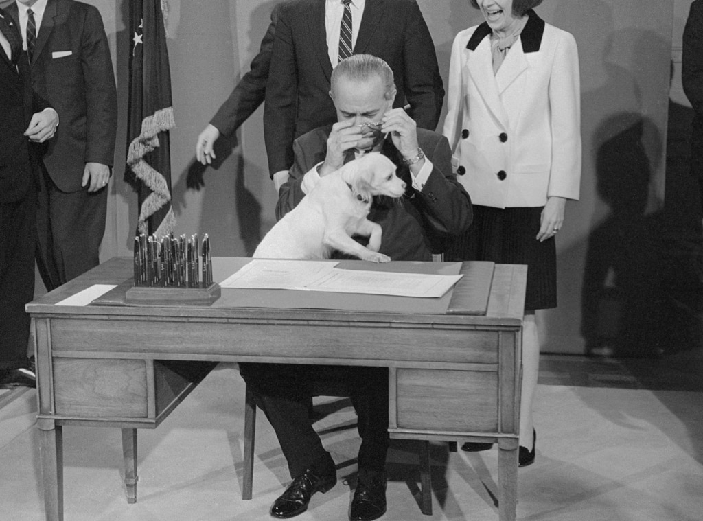 A History of Presidential Pets Who Lived in the White House