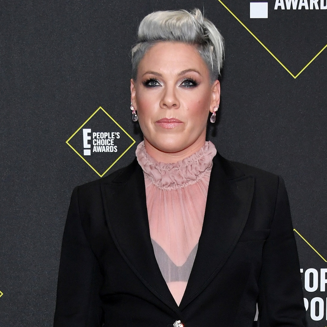 Pink Helps Dying Fan With Cancer Complete Her Bucket List - E! Online