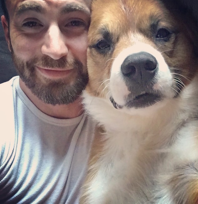 Chris Evans, Dog, Instagram