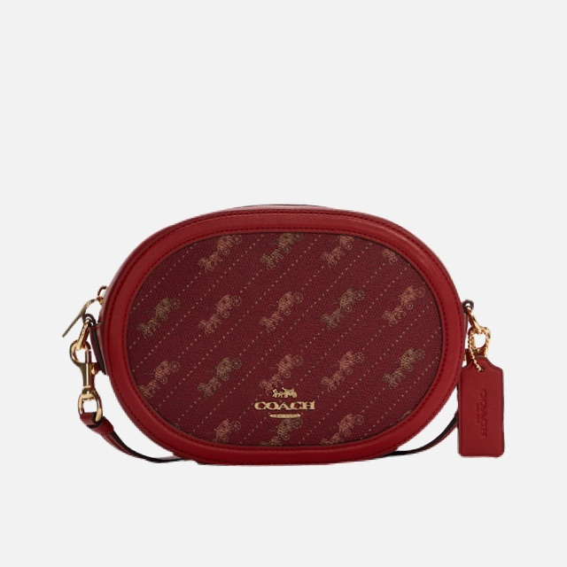 Coach Camera Bag with Horse and Carriage Dot Print
