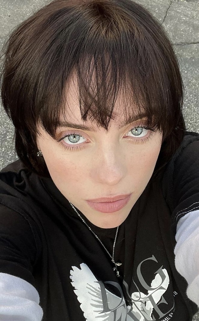 Billie Eilish Ditches Her Blonde Hair For Bold New Look - E! Online