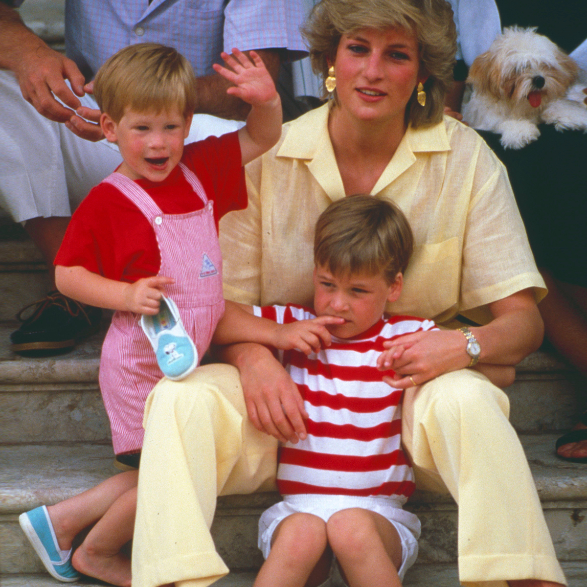 Prince Harry And Prince William Reunite To Honor Princess ...