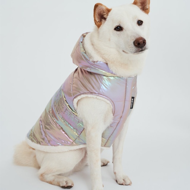 pawtech dog coats