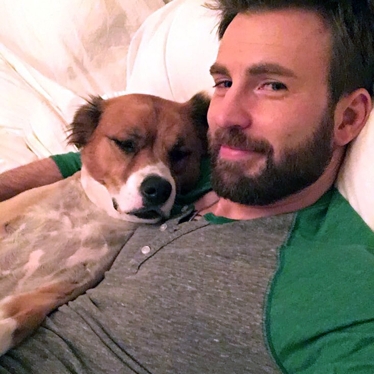 An Ode to Chris Evans’ Cutest Moments With His Rescue Dog Dodger