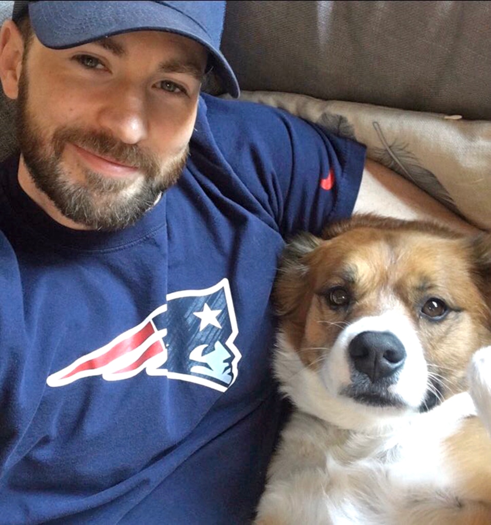 Chris Evans, dog, Dodger