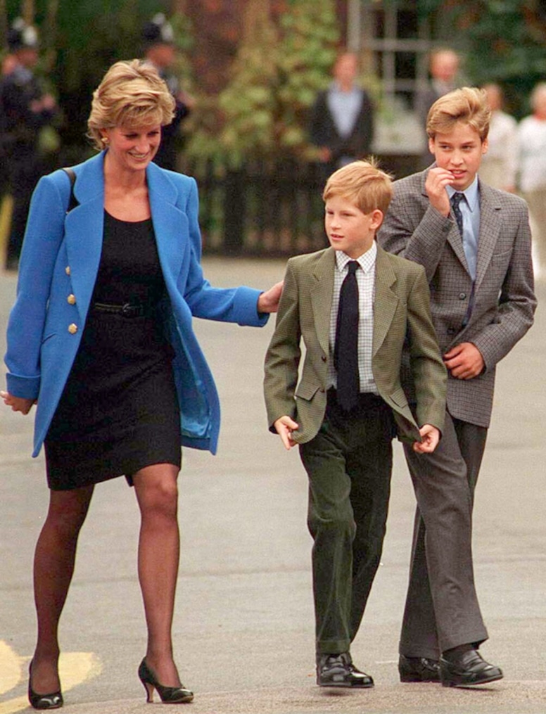 Prince William, Princess Diana, Prince Harry
